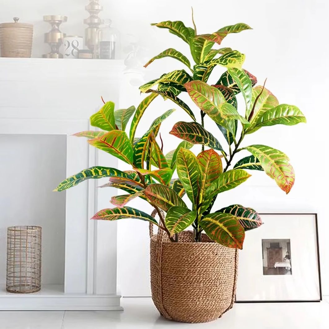 Dracaena Marginata - Tanaman Buatan 21-120cm Pohon Beringin Palsu