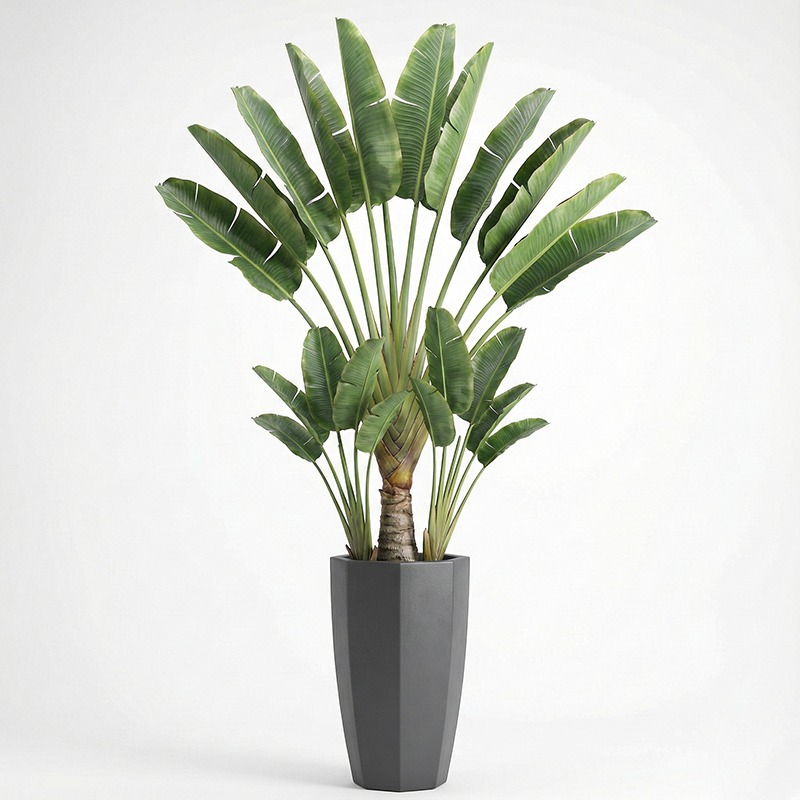 Ficus Lyrata Tree - Pohon Fiddle Leaf Fig Plastik Simulasi