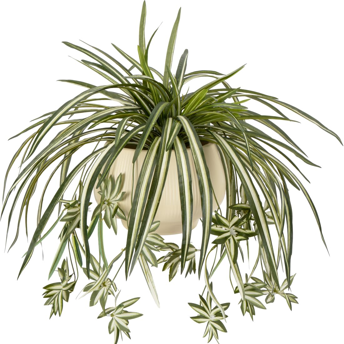 Spider Plant Hanging - 4 Buah Tanaman Laba-laba Gantung Buatan