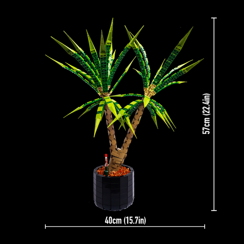 1961PCS MOC Kastil Abad Perten - Dracaena Marginata ulasan dan harga