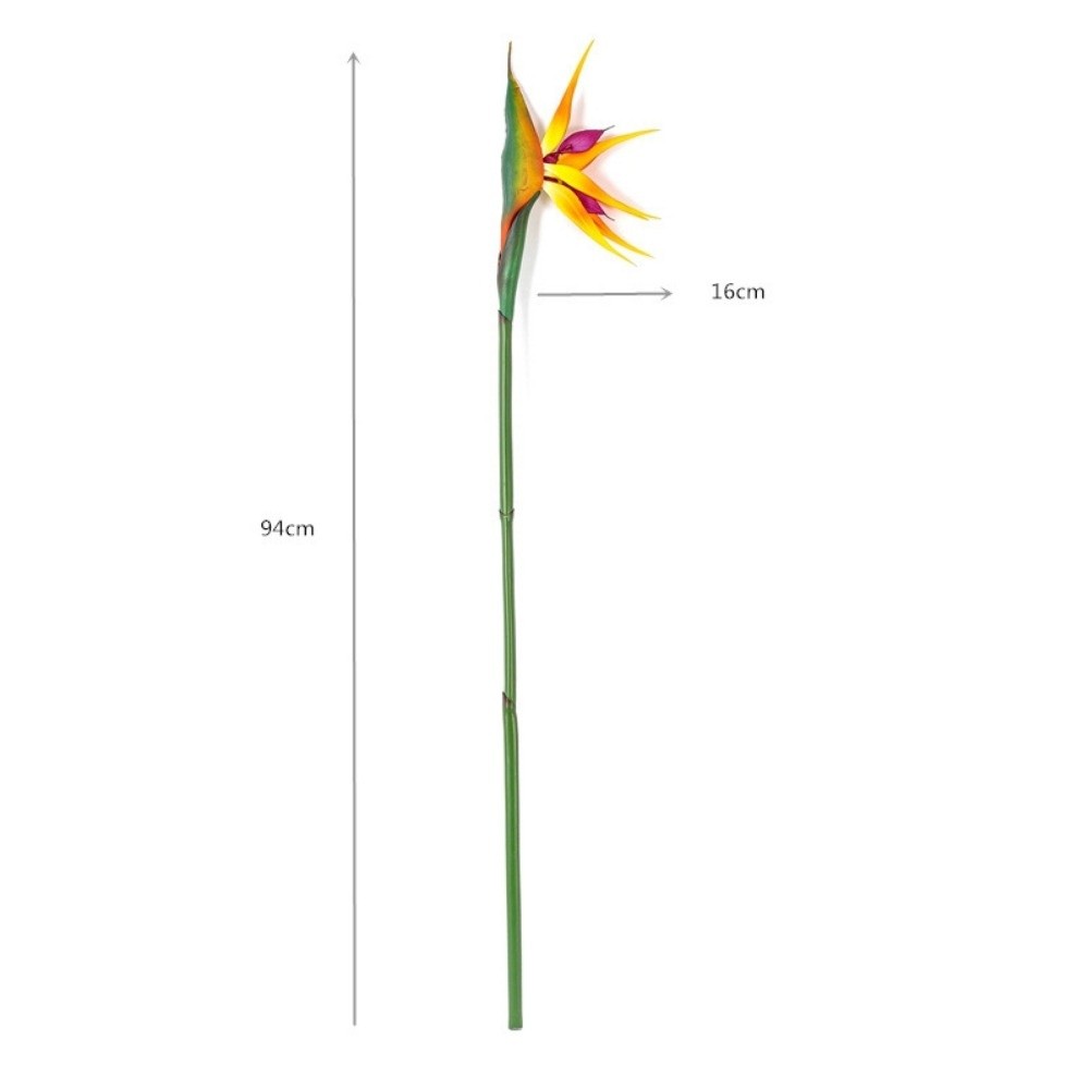 Bunga Strelitzia Buatan dengan - Bird Paradise Strelitzia ulasan dan harga