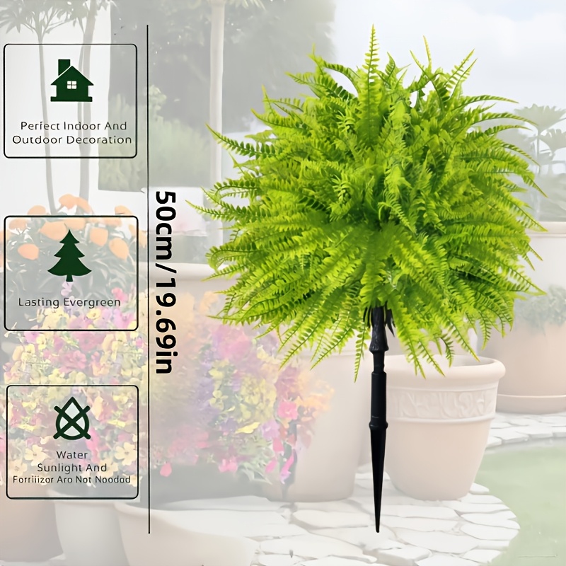 2 buah - 44cm Fern Ground Inse - Dracaena Marginata ulasan dan harga