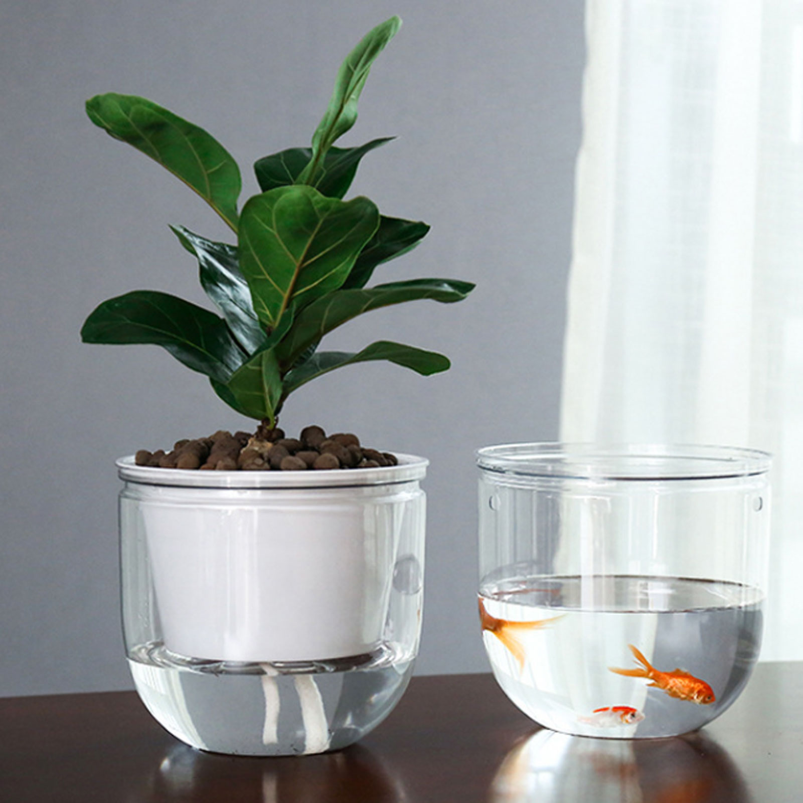 Pot Tanaman Penyiraman Otomati - Spider Plant Hanging ulasan dan harga