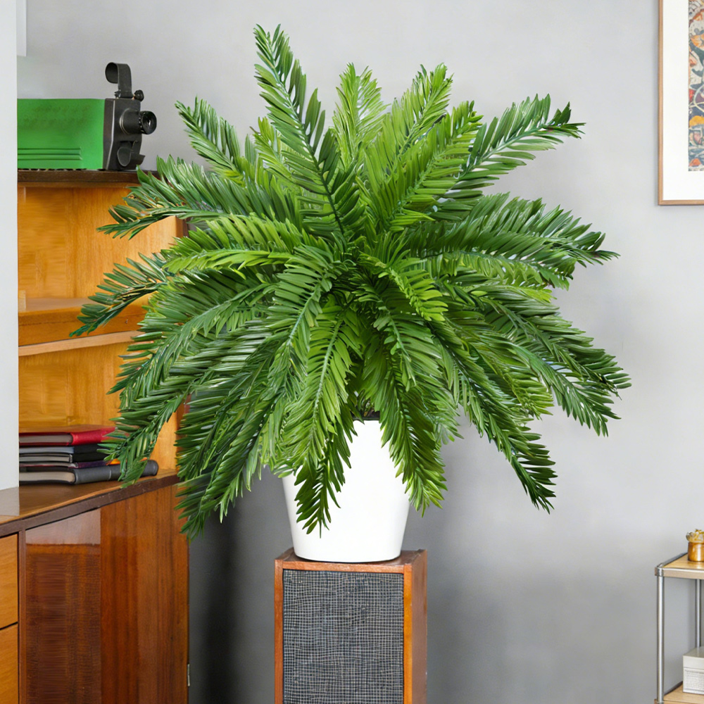 Tanaman Palem Buatan 45cm, Poh - Dracaena Marginata ulasan dan harga