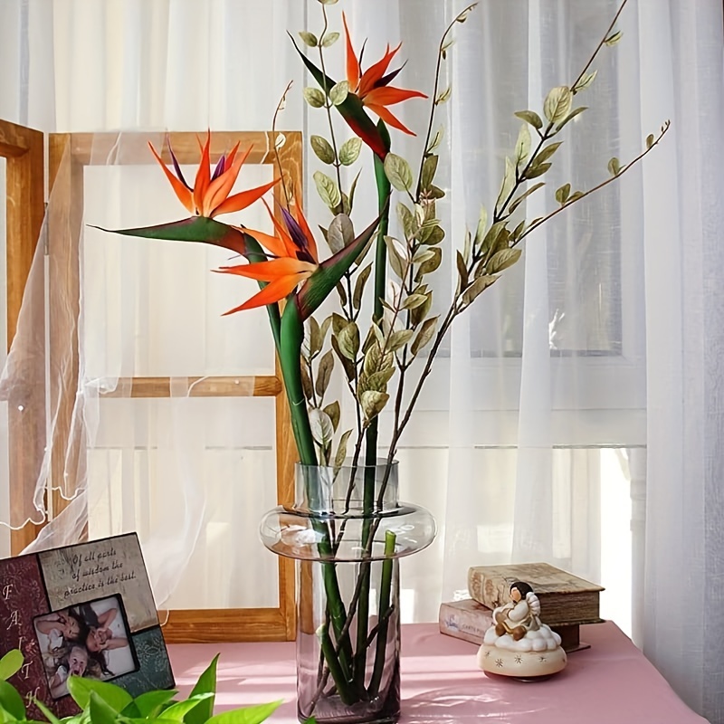 3 buah bunga burung surga buat - Bird Paradise Strelitzia ulasan dan harga