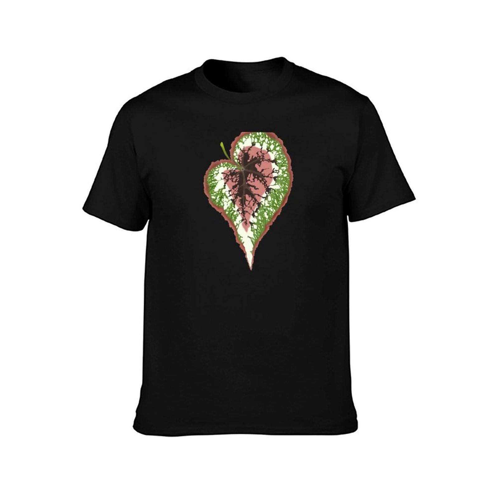 Kaos Begonia Rex Desain Sederh - Begonia Rex ulasan dan harga
