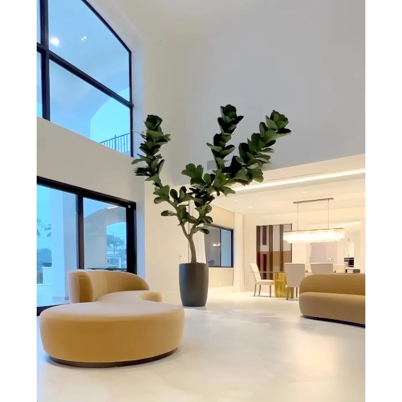 Tanaman Buatan Tanaman Pot Dal - Ficus Lyrata Tree ulasan dan harga