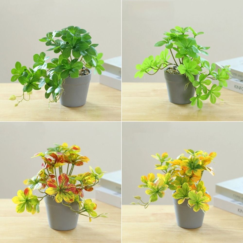 Tanaman Bonsai Buatan Tanaman  - Spider Plant Hanging ulasan dan harga