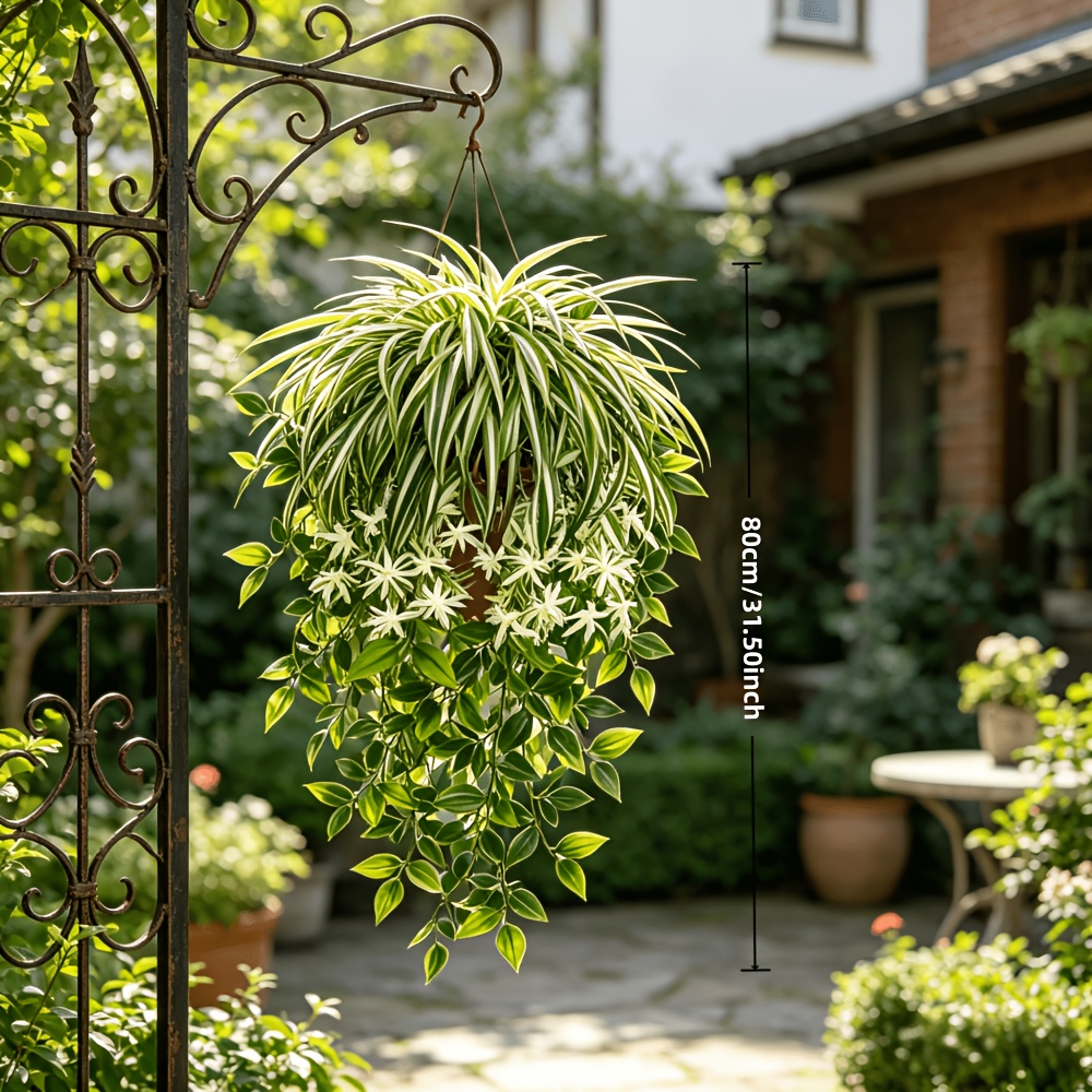4 buah Tanaman Laba-laba Palsu - Spider Plant Hanging ulasan dan harga