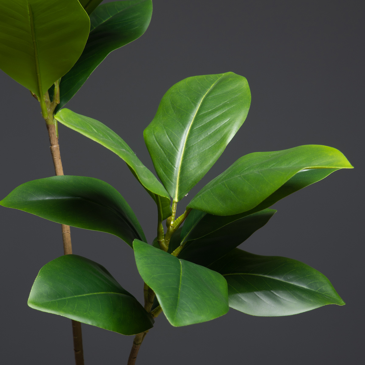 Tanaman buatan besar 2 garpu 1 - Dracaena Marginata ulasan dan harga