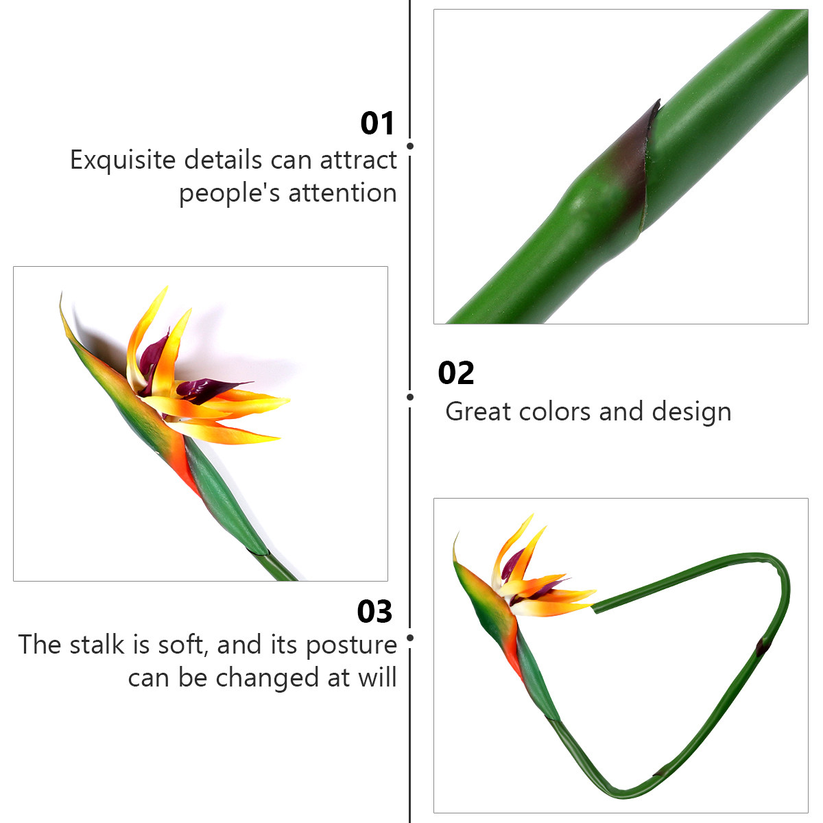 Tanaman Bird of Paradise Buata - Bird Paradise Strelitzia ulasan dan harga